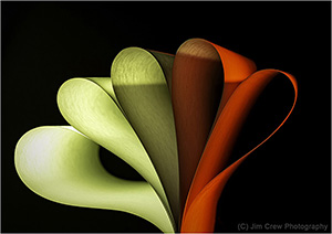 Coloured Curves